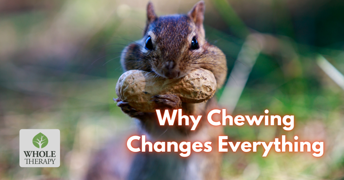 Why Chewing Changes Everything