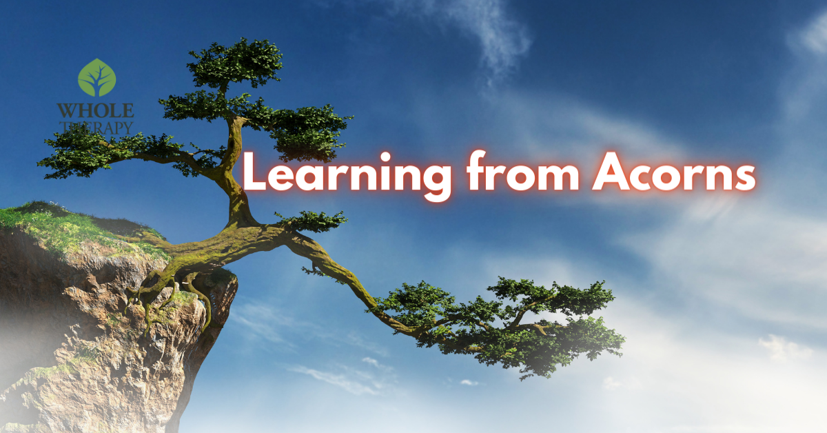 Learning from Acorns – Jen’s Journey