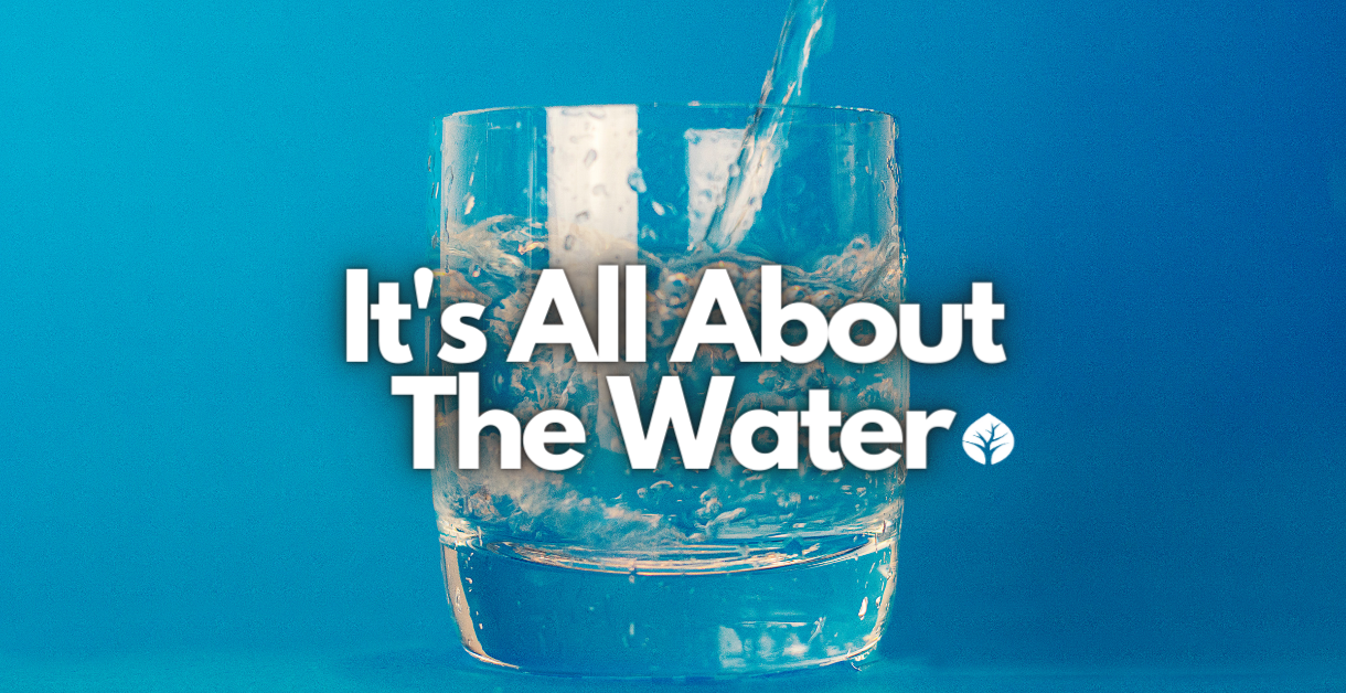 It’s All About The Water