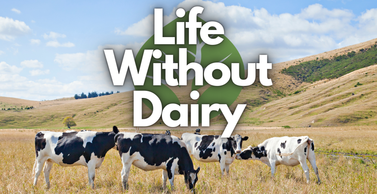 Life Without Dairy