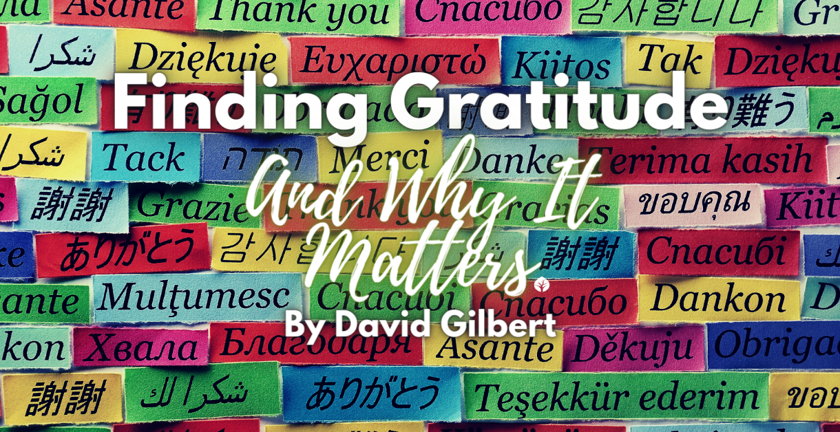 FINDING GRATITUDE AND WHY IT MATTERS